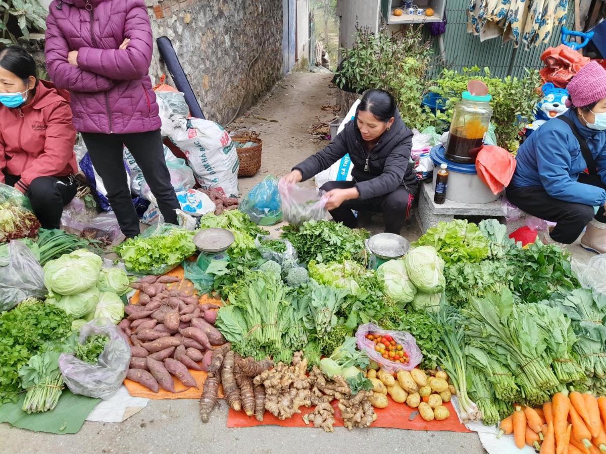 فندق Khach San Vuon Quoc Gia Ba Be Bac Kan المظهر الخارجي الصورة
