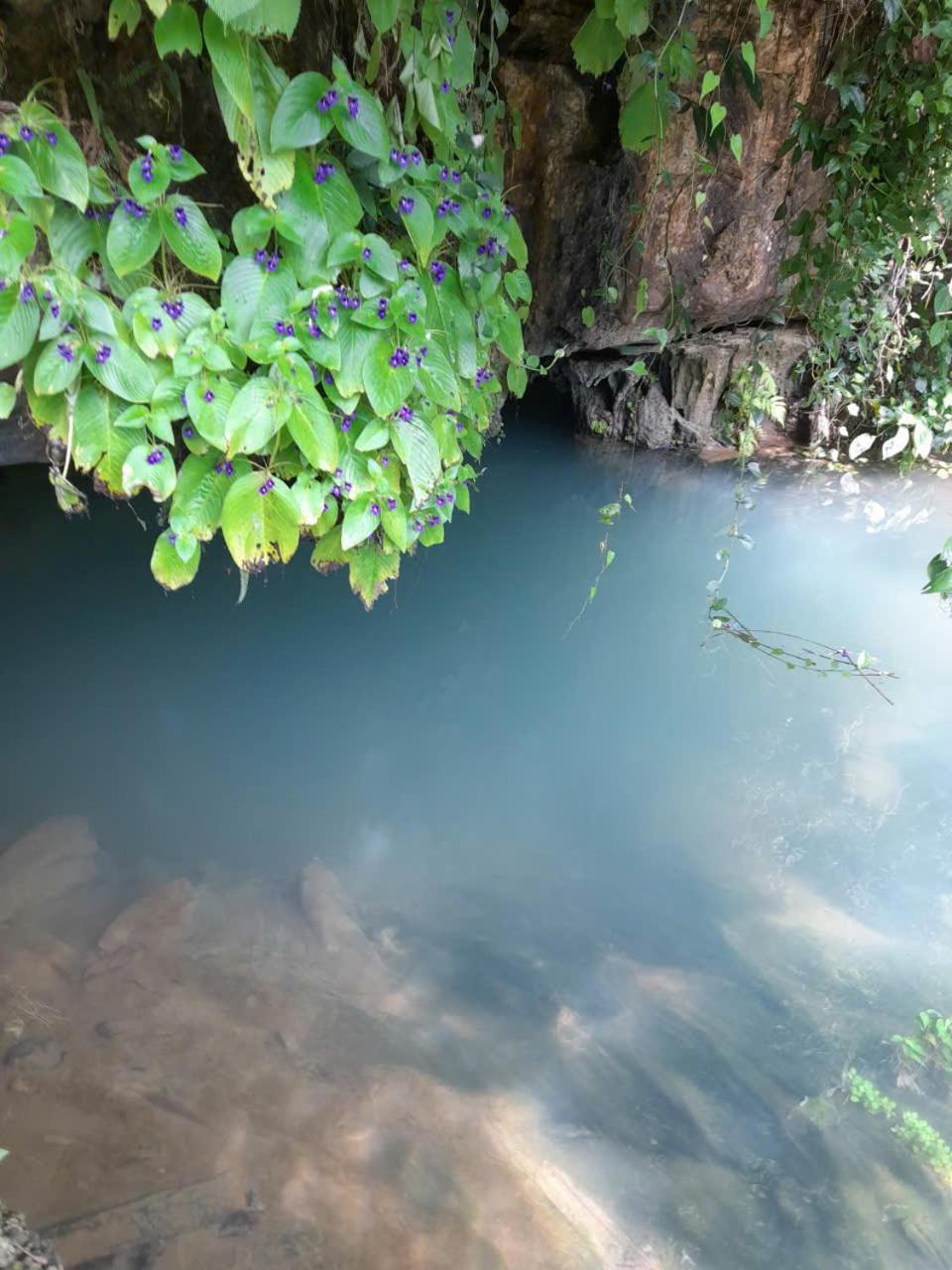 فندق Khach San Vuon Quoc Gia Ba Be Bac Kan المظهر الخارجي الصورة