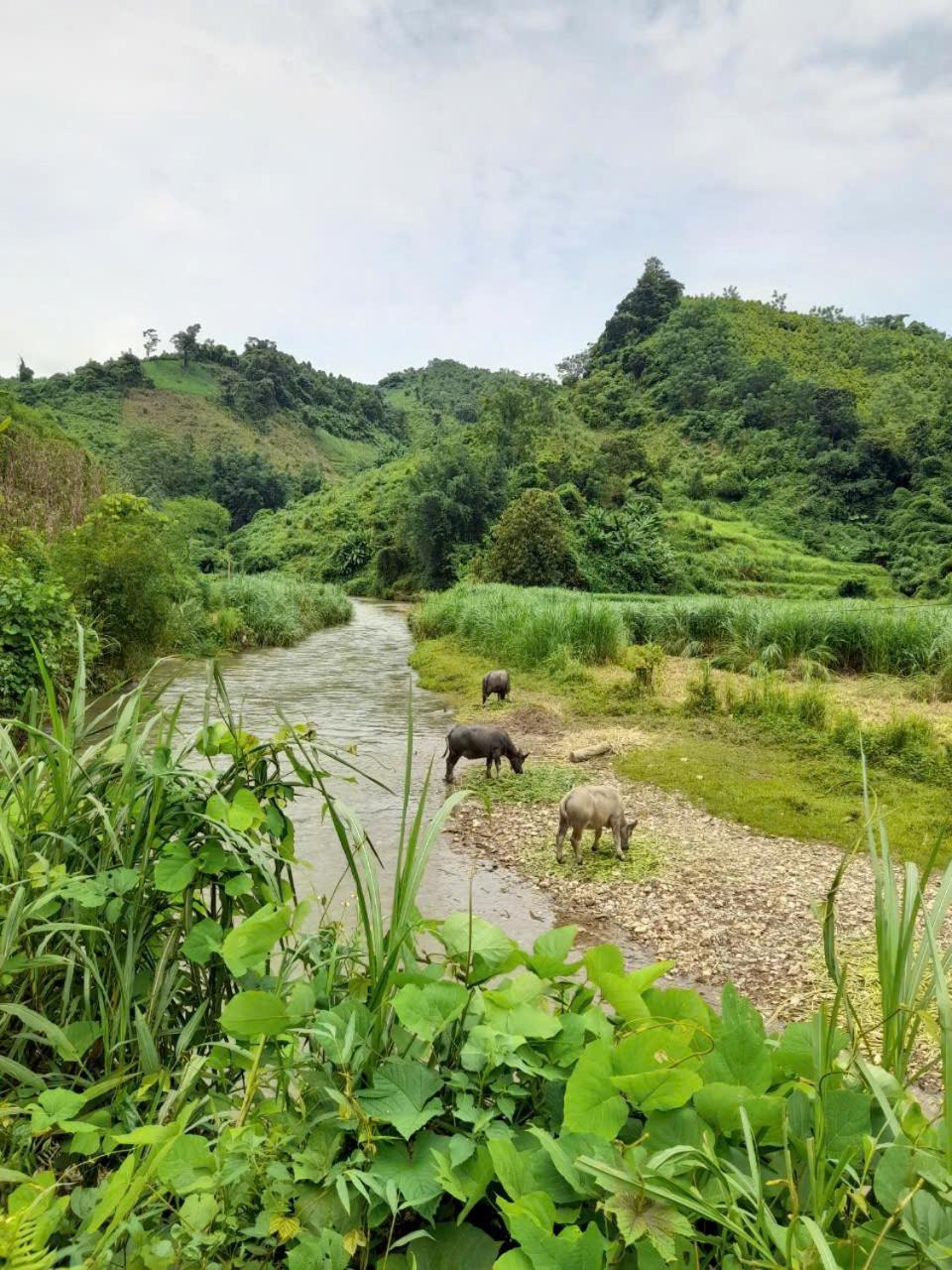 فندق Khach San Vuon Quoc Gia Ba Be Bac Kan المظهر الخارجي الصورة